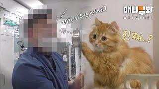 처음 본 순간 서로 운명임을 직감한 남자와 고양이ㅣMan and Cat Intuitively Know They're Meant to Be