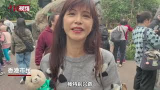 “港产”大熊猫龙凤胎满百日 “家姐”“细佬”线上见游客