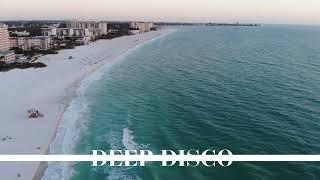 Melodies Of Deep Disco Music Best melodic Deep House (2024)