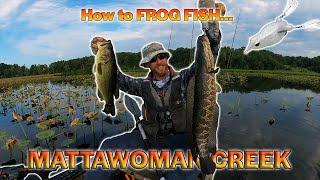 How to FROG FISH THICK Pads for Snakehead and Bass at Mattawoman Creek with Legion of Anglers