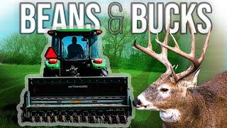 BEAN Planting 101, How To Grow The Best Soybeans For Whitetails | Deer Season 24