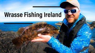 Wrasse fishing from the rocks