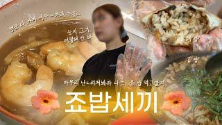 죠밥 _한여름 브이로그ッ_카레, 곱창전골,게장[..행운 다 가지 새우~..카레우동..]