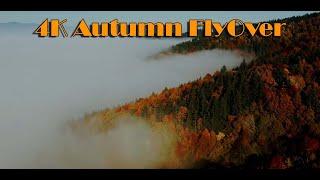 4K Autumn Adventure: Serene Scenes in the Glowing Autumn  SUBSCRIBE for More Videos 