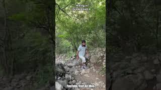 Hiking #margalahills #islamabad #pakistan #relaxing #nature #shorts #shortsvideo #AsifAliMeo