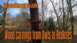 From Owls to Redkites....What A Place!