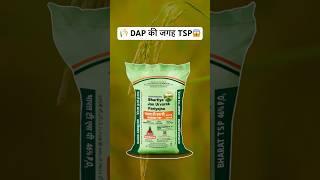 DAP भूल जाओगे  TSP (Triple Super Phosphate)  #shorts