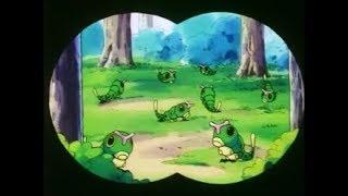 Ash Almost Catches A Second Caterpie