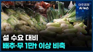 농식품부 "배추·무 1만t 이상 비축…설 대비" | 아주경제 AI 뉴스