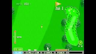 Eagle      The Irem Skins Game   Major Title Golf