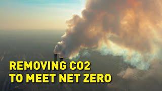 How is carbon dioxide being removed from the atmosphere?