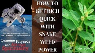 How To Get Rich Quick Using Snake Weed Power: