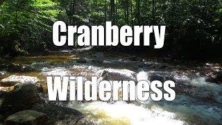 Backpacking the Cranberry Wilderness, WV