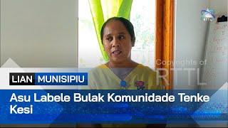 Asu Labele Bulak Komunidade Tenke Kesi