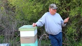 Fat Bee Man - Introduction to Beekeeping clips