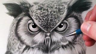 How to Draw an Owl