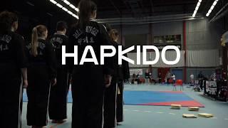 Hapkido demonstration at Swedish TKD Mastership 2017