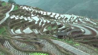 Hiking in the Lonji Rice Terraces - Ping'an to Old Longji