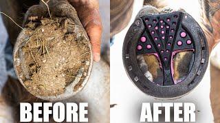 Satisfying Full Horse Hoof Restoration | 4K FARRIER ASMR