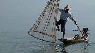 Myanmar- Fishing jn Inle Lake