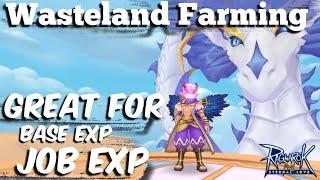 Wasteland Farming, Worth It? Job EXP for Days. Perfect for Multi! Ragnarok Mobile (Episode 7)