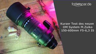 Kurzer Test des neuen OM System M.Zuiko 150-600mm F5-6,3 IS