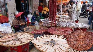 Dried Fish Market In Cambodia - Daily Lifestyle Of Vendors Selling Dried Fish @Kilo9 Cambodia