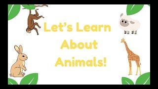 Let’s Learn About Animals! -Toddler Learning- Preschool Kids- KidsLove2Learn