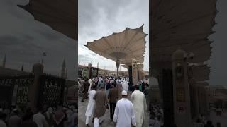 makka Madina status | Makkah madina #madina #shorts #short