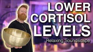 Lower Cortisol Levels with This Soothing Soundscape | Healing Frequencies