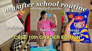 Daily Life Of A CBSE 10th Grader: After School Routine Revealed! |  Mellow Update #cbseclass10