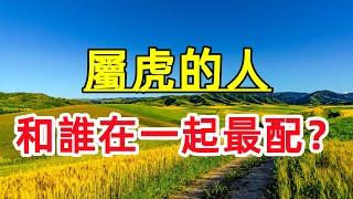 【十二生肖】屬虎的婚姻最佳配對，屬虎和什麽屬相相克？