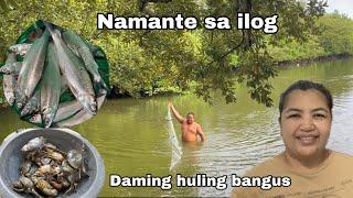 Namante sa ilog | daming huling bangus