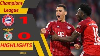 Bayern Munich vs Benfica | Highlights |  Champions League 6-11-2024