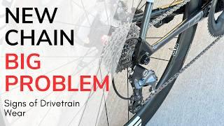 ‍️ Bicycle Chain Reaction️ The Truth About Bike Drivetrain Wear ️