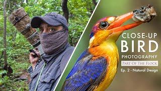 Creating DETAILED Bird Photography – The World’s MOST COLOURFUL Kingfisher | Part Of The Flock Ep 2