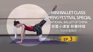 Learn Ballet Together at Home with Qiu Yunting | Stars of NBC