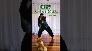  GOT7 - Python K-Pop Dance Cover #got7 #python #kpop