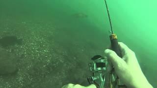 Upper niagara river underwater fishing wicked bass hit.