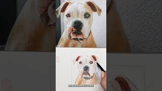 Watercolor Pet portraits with only 5 colors? #shorts