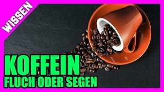 Koffein - schädlich oder hilfreich und Sportliche Leistung | Daniel Pugge