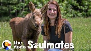 A Baby Moose Adopted This Woman as Her Mom | The Dodo Soulmates