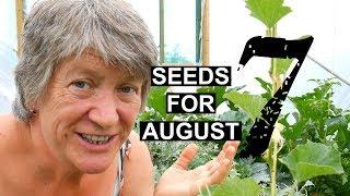 What To Sow In August | 7 easy to grow crops (2019)