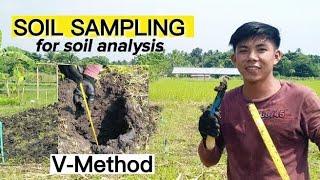 HOW TO COLLECT SOIL SAMPLES FOR SOIL ANALYSIS| Paano kumuha ng Lupang ipapa-test