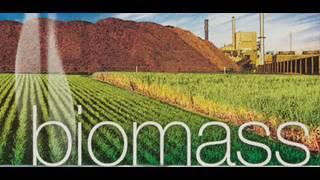 bio mass john danielson