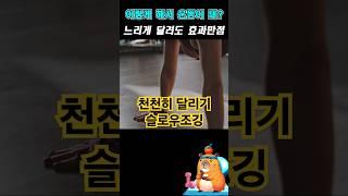 천천히 달리기 슬로우조깅, 정말 좋습니다