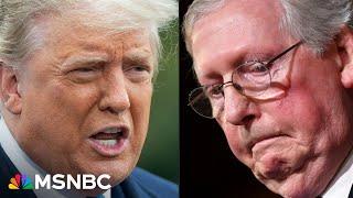 McConnell defends calling Trump ‘despicable human being,' throws Vance under the bus