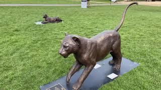 Bronze Lions Exhibition - Exhibition Park Newcastle upon Tyne