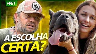 CANE CORSO É A MELHOR ESCOLHA PARA CÃO DE GUARDA? | RICHARD RASMUSSEN