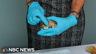 Students help solve mystery of century-old skeletal remains